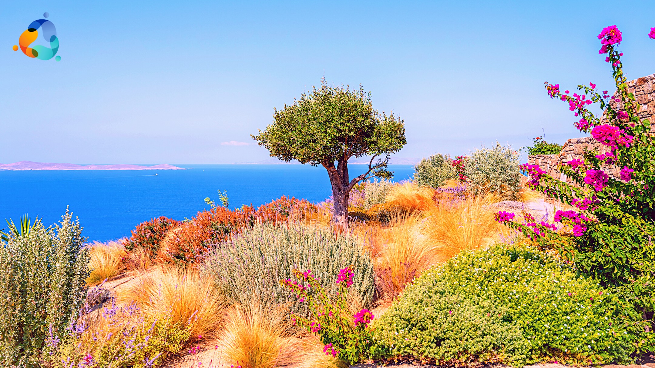 Seaside Summer Mykonos Experience
