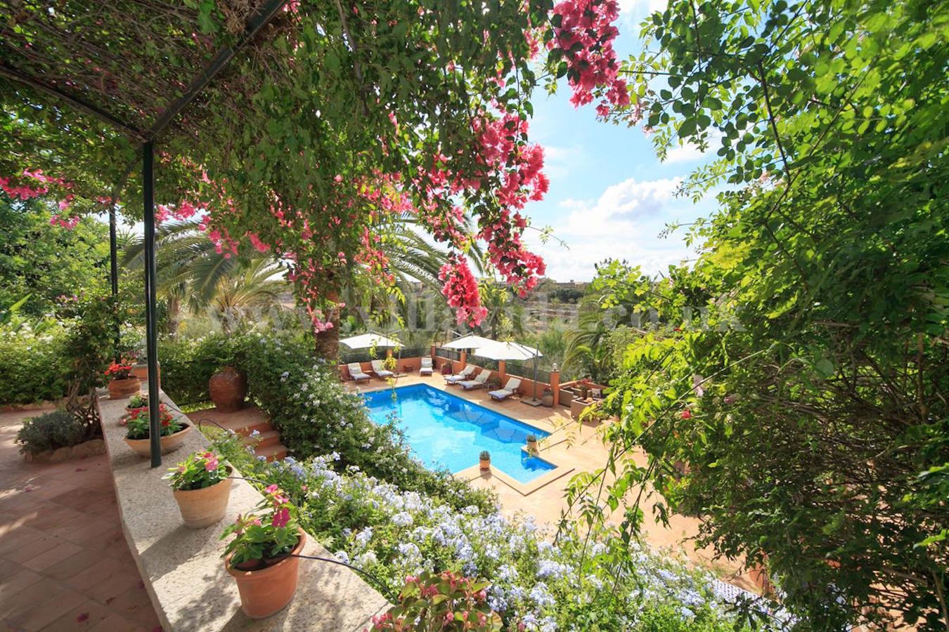 Las Palmeras Portol, luxury, idyllic property with Villa  Mallorca