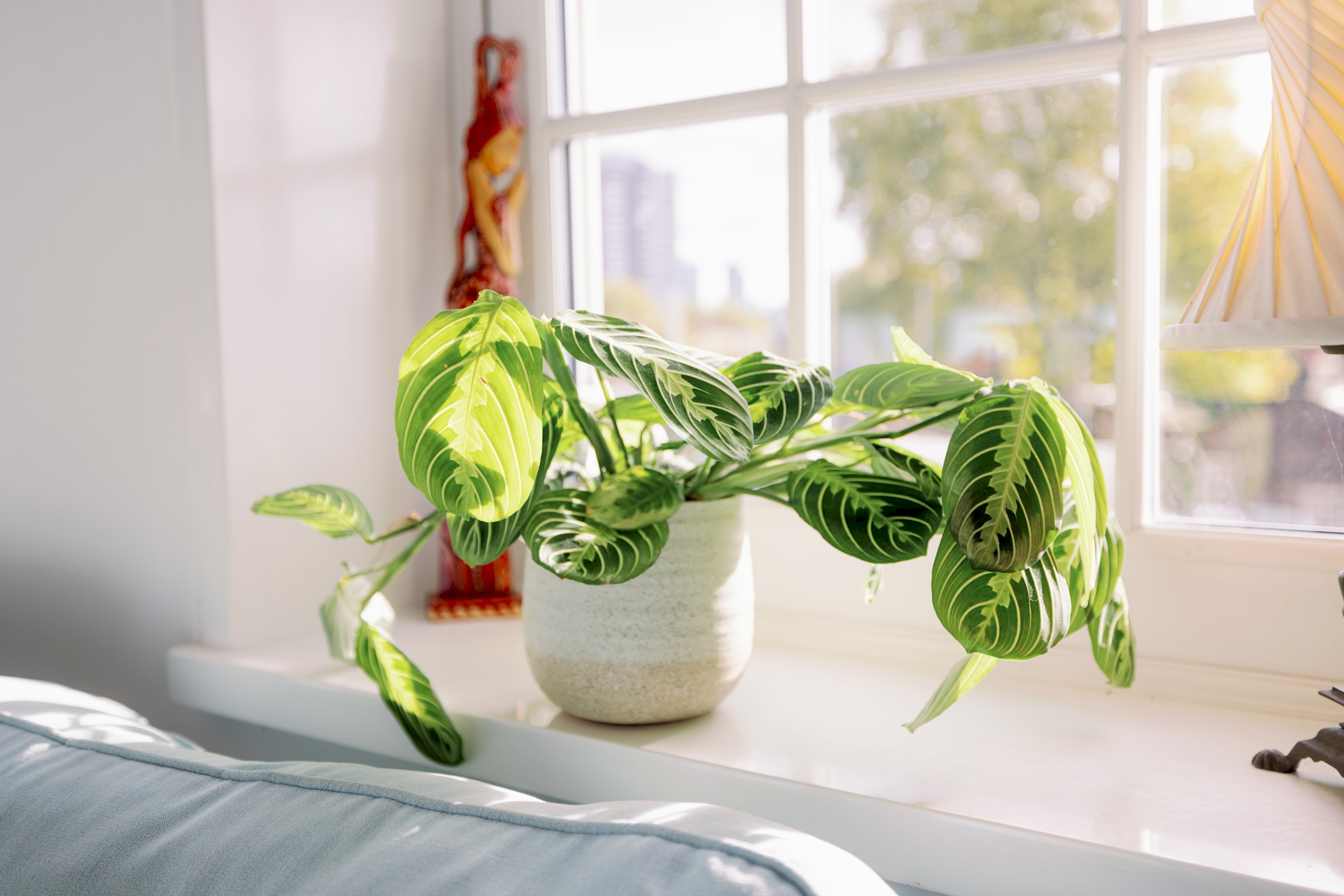 Stylish Apartment in the heart of Clerkenwell - Pass the Keys in Flat 14, St Helena house Margery St. ,WC1X 0HU WC1X 0HU - Property image 29 - VivreStays