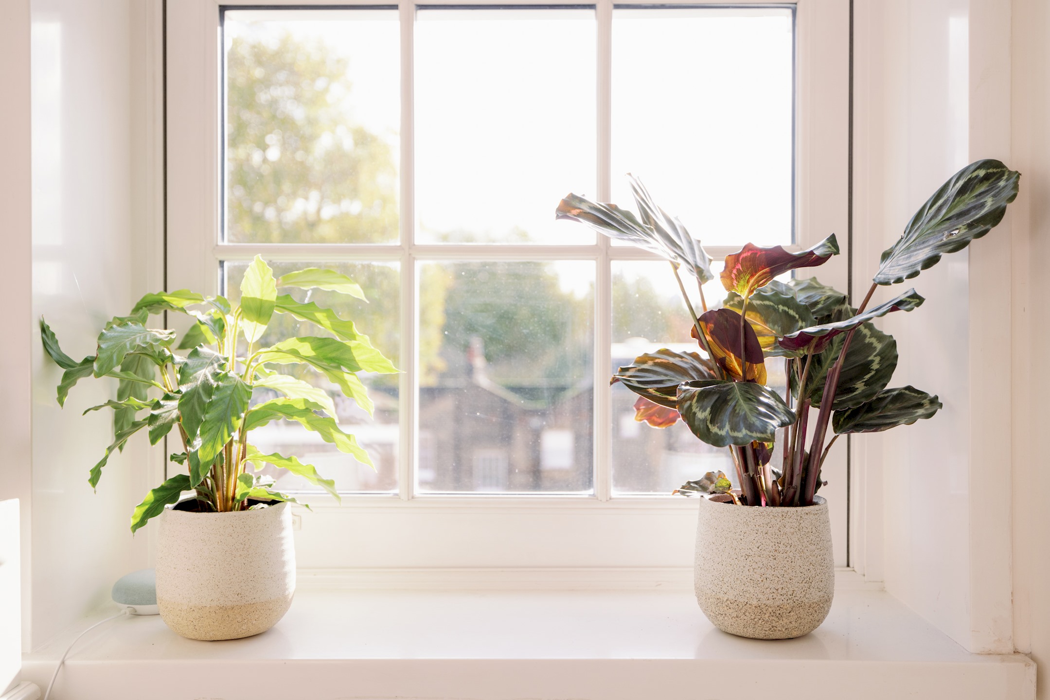 Stylish Apartment in the heart of Clerkenwell - Pass the Keys in Flat 14, St Helena house Margery St. ,WC1X 0HU WC1X 0HU - Property image 38 - VivreStays