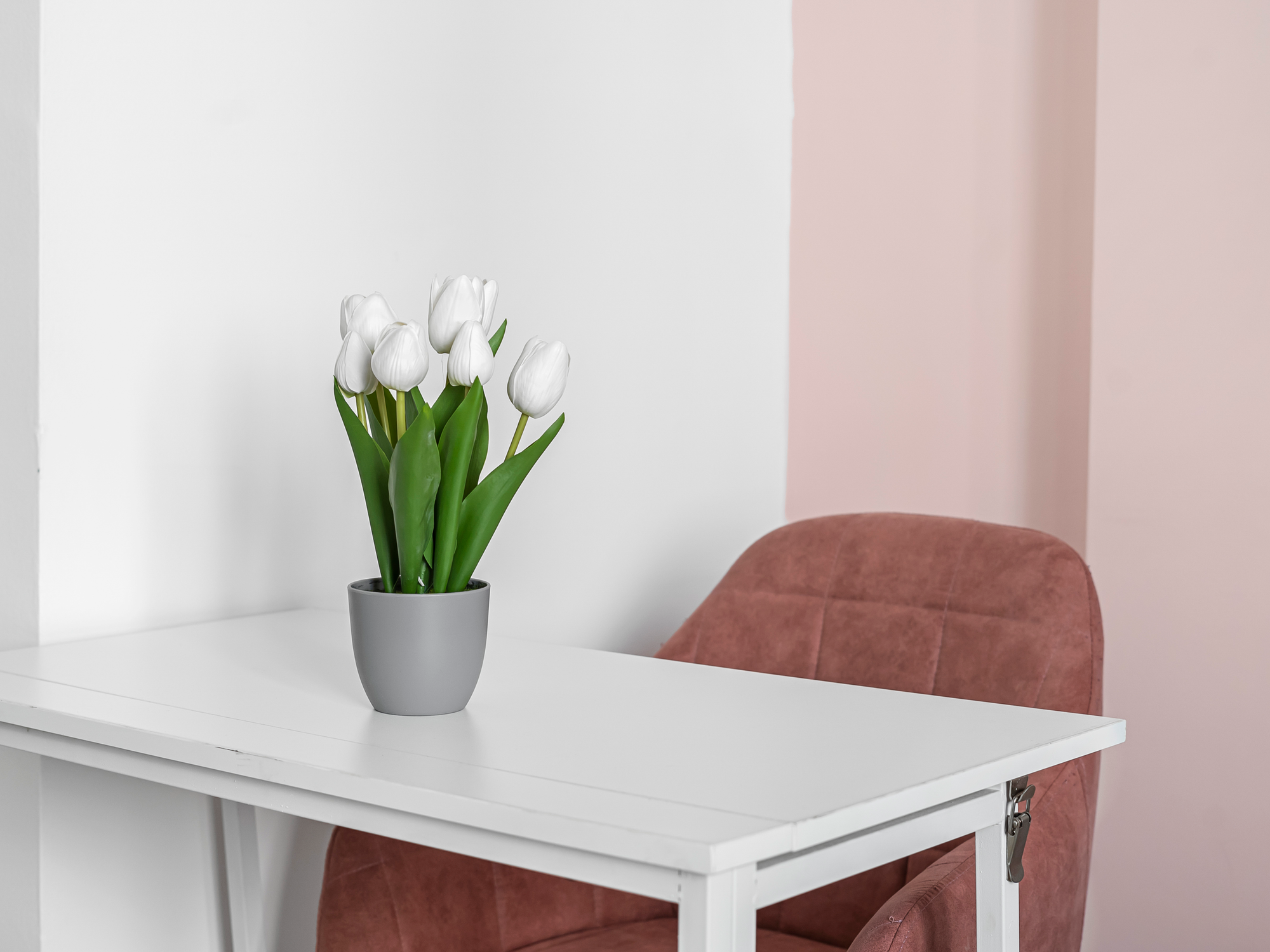Stylish Open-Plan Living Gem in Victoria - Pass the Keys in flat b, 33 Denbigh Pl SW1V 2HA - Property image 16 - VivreStays