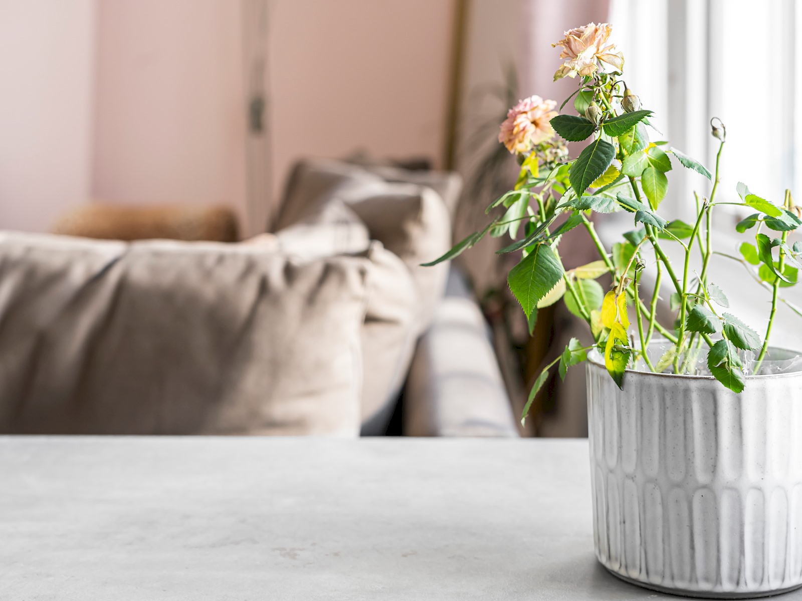 Stylish Open-Plan Living Gem in Victoria - Pass the Keys in flat b, 33 Denbigh Pl SW1V 2HA - Property image 18 - VivreStays