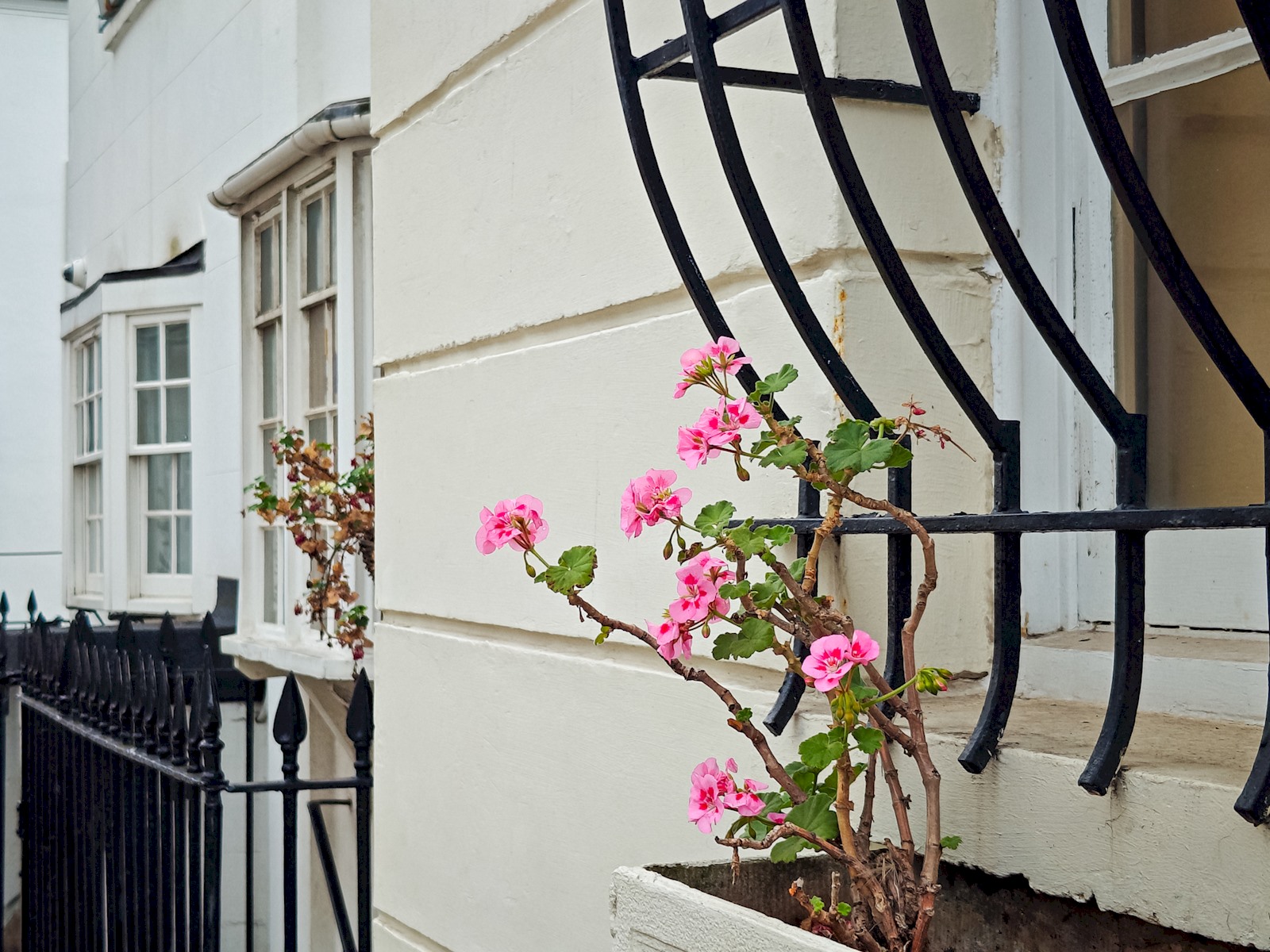 Bright and Spacious Studio, Knightsbridge, London - Pass the Keys in 34 Rutland Gate SW7 1PD - Property image 21 - VivreStays
