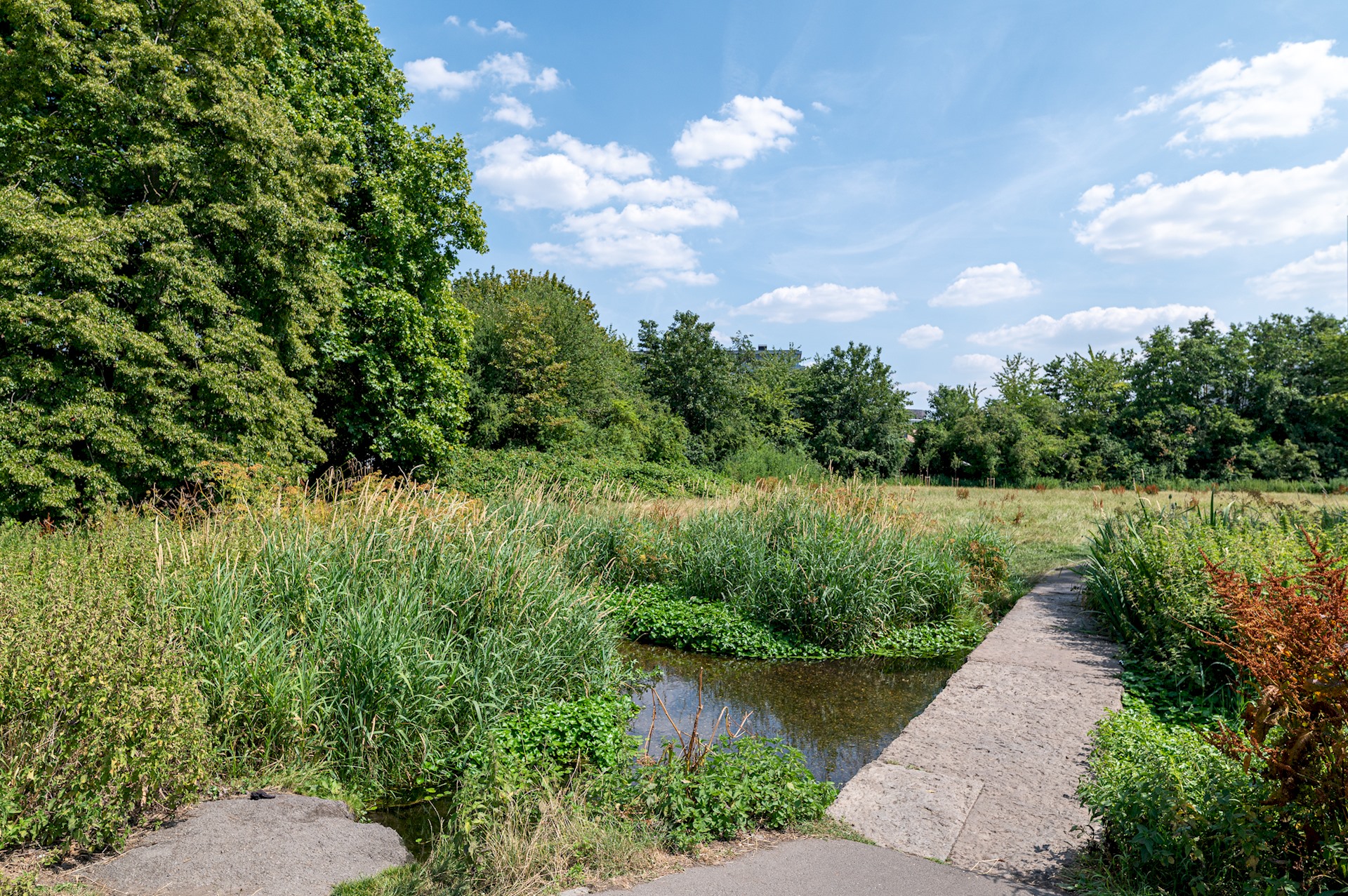 Bright, Leafy Oasis in South London - Pass the Keys in 250 North Road, SW19 1TR - Property image 21 - VivreStays