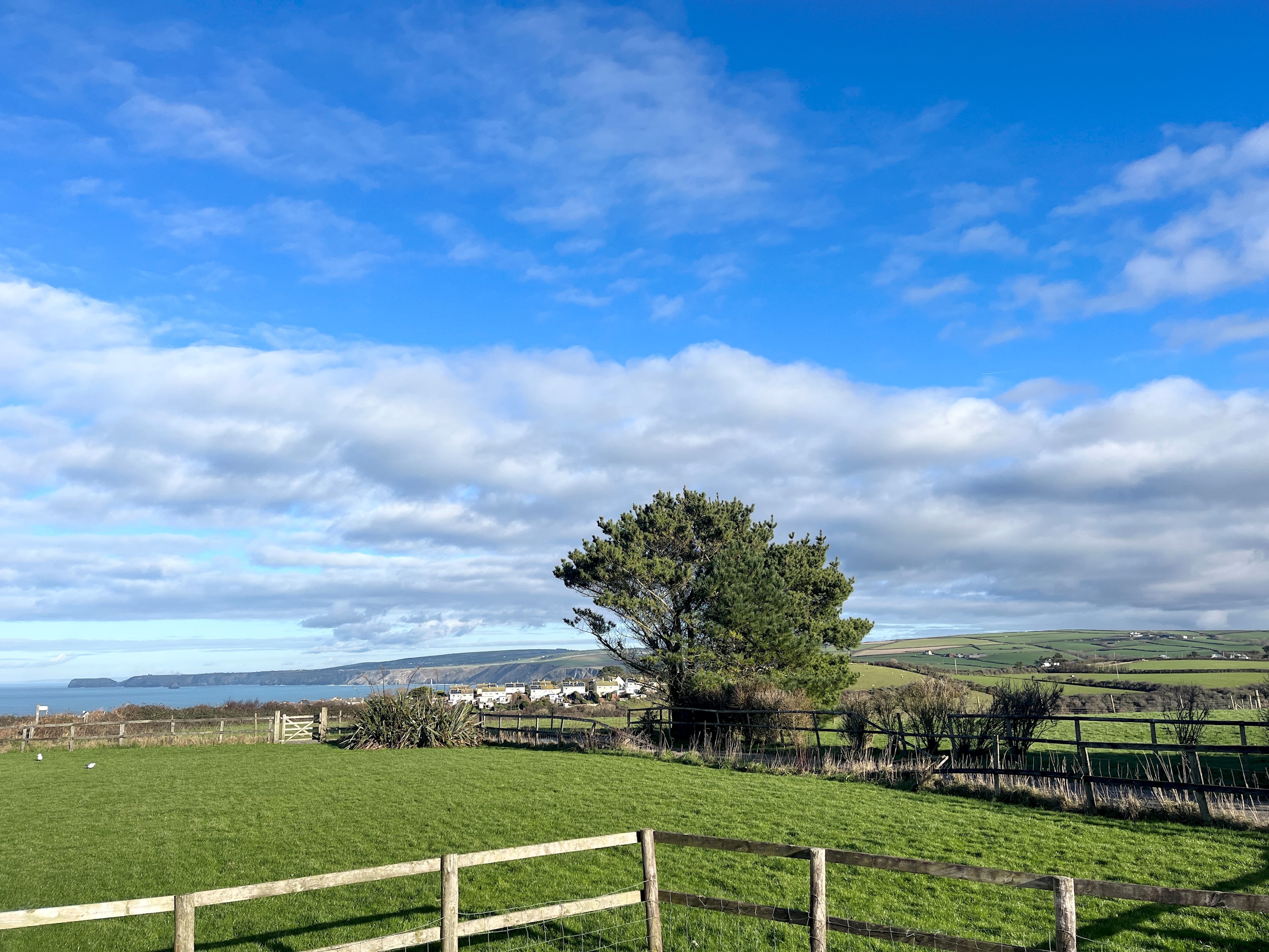 Spacious 3 bed~2 parking short walk to Port Isaac