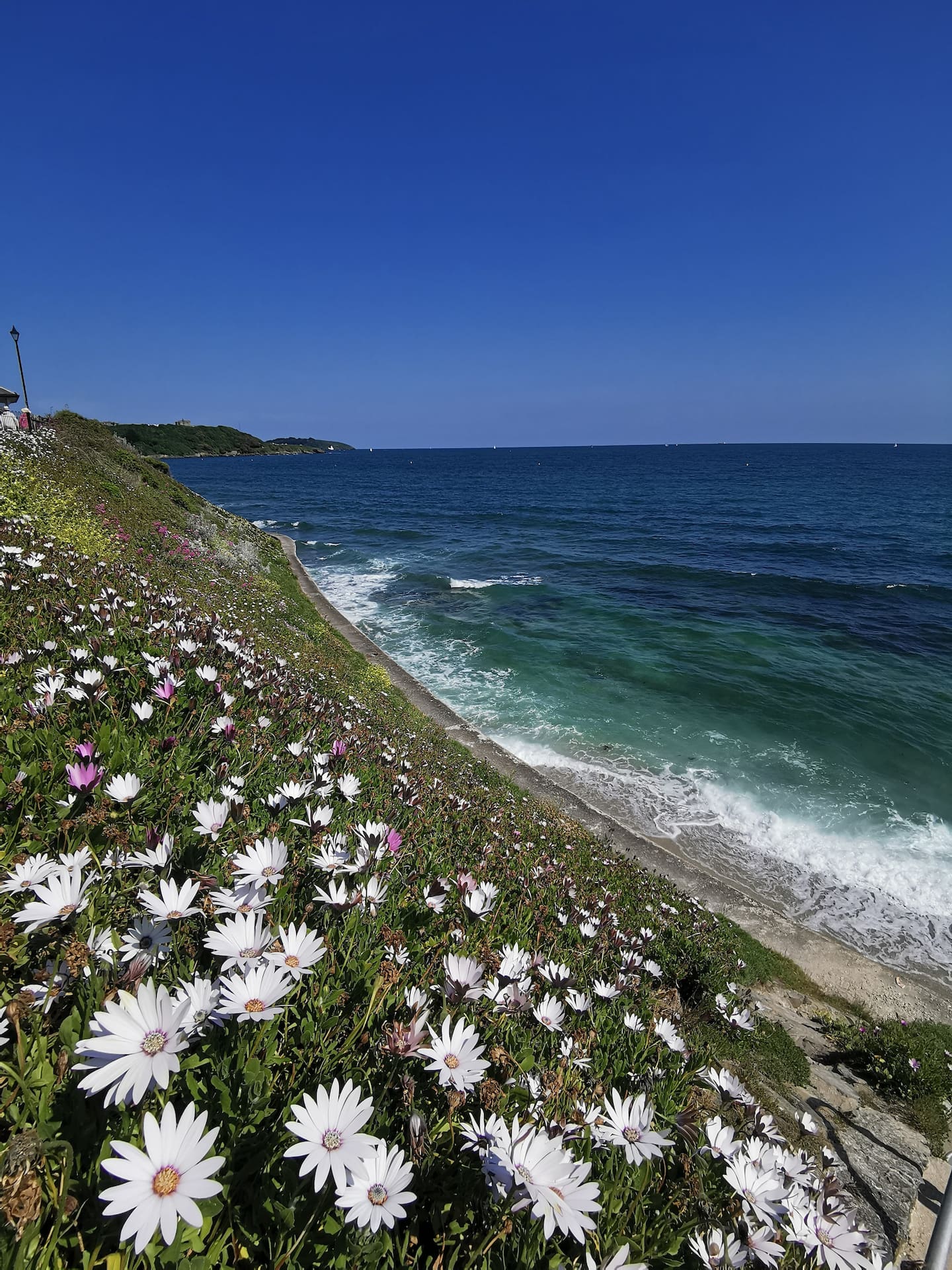 Bright welcoming Falmouth home + garden & parking