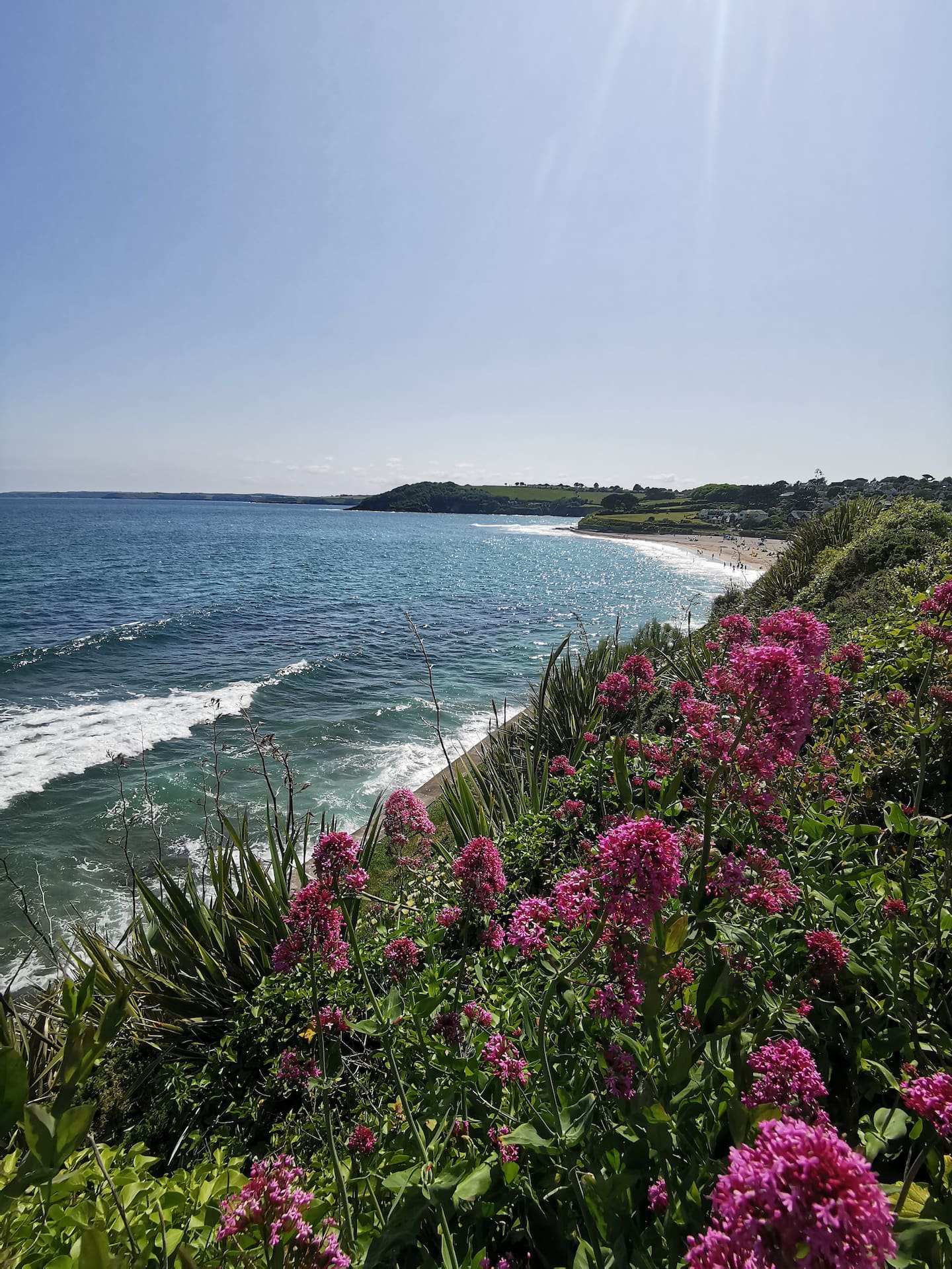 Bright welcoming Falmouth home + garden & parking