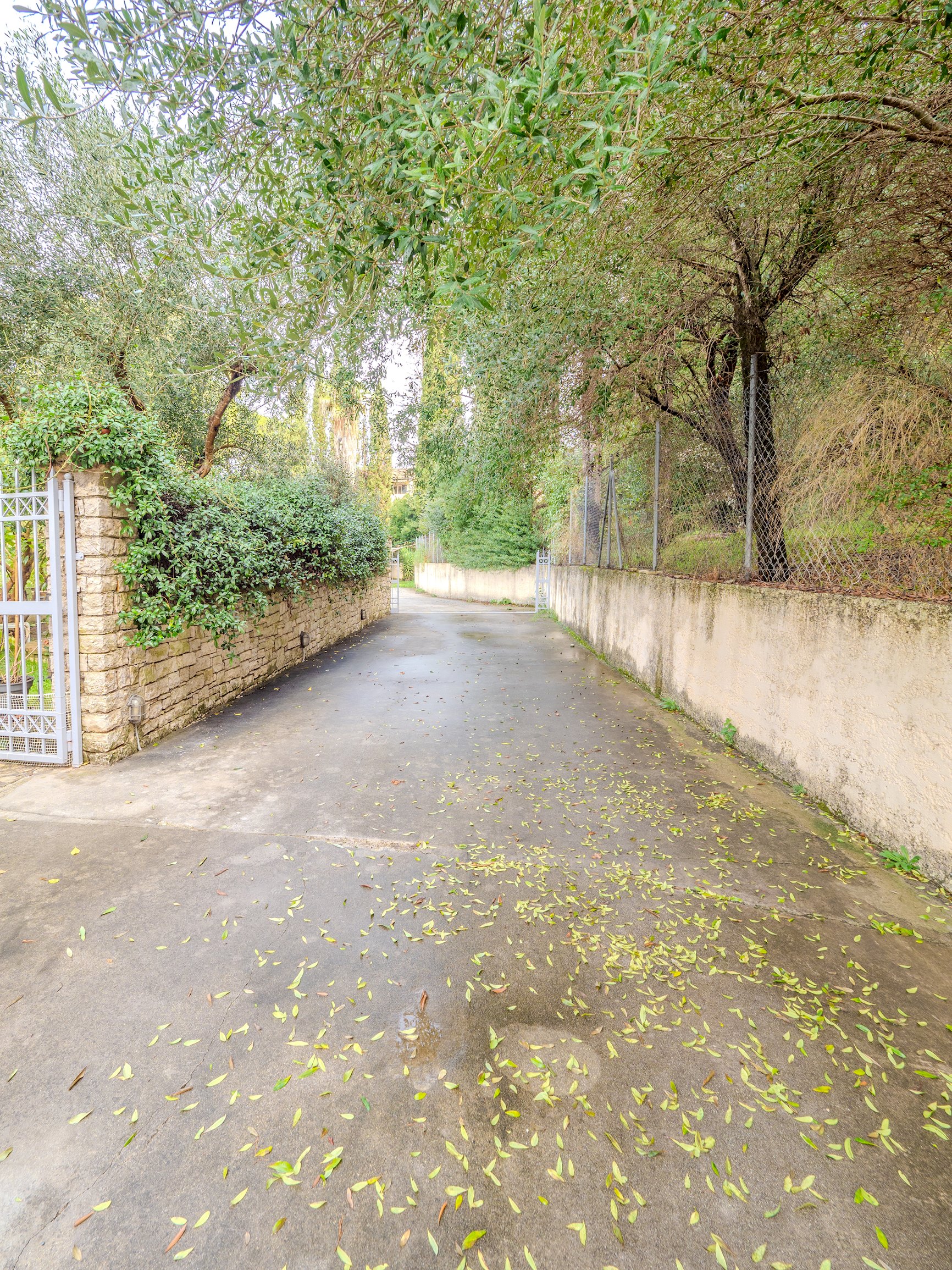 Tilia Tree Luxury apartment | Vast Pool and BBQ