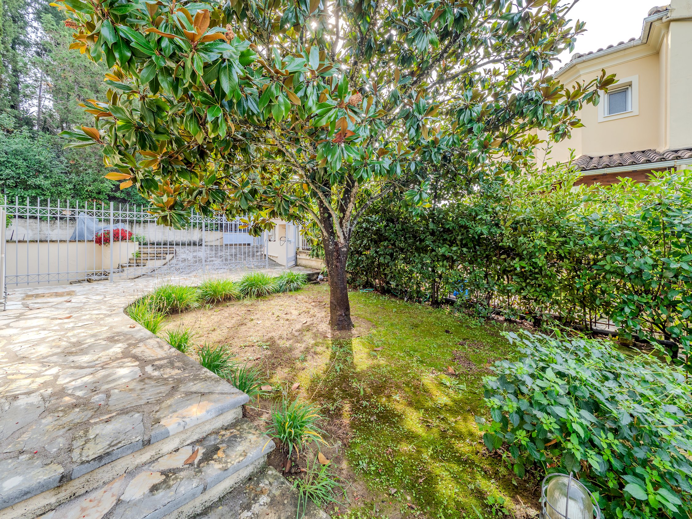 Tilia Tree Luxury apartment | Vast Pool and BBQ