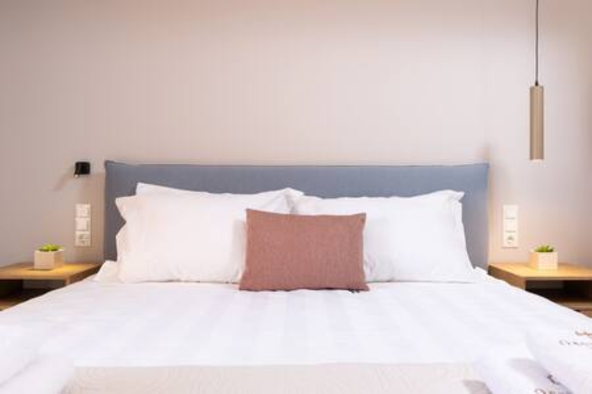 Onore Private Suite & pool | Dasia