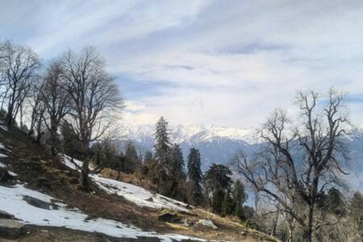 ArtVillage Naggar – Luxury Suite in a Katkuni Home
