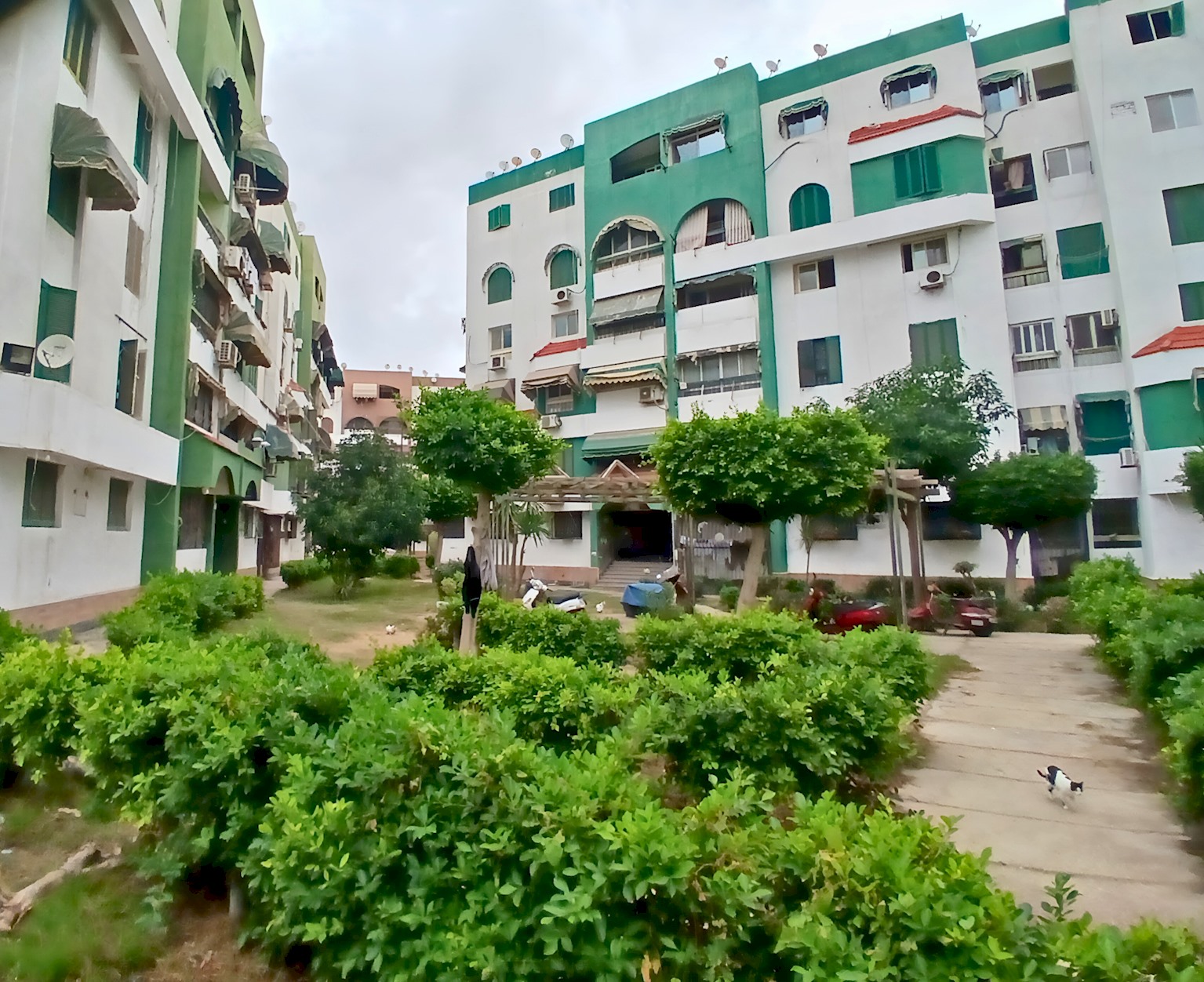 Gadou King Room – Shared Apartment Access