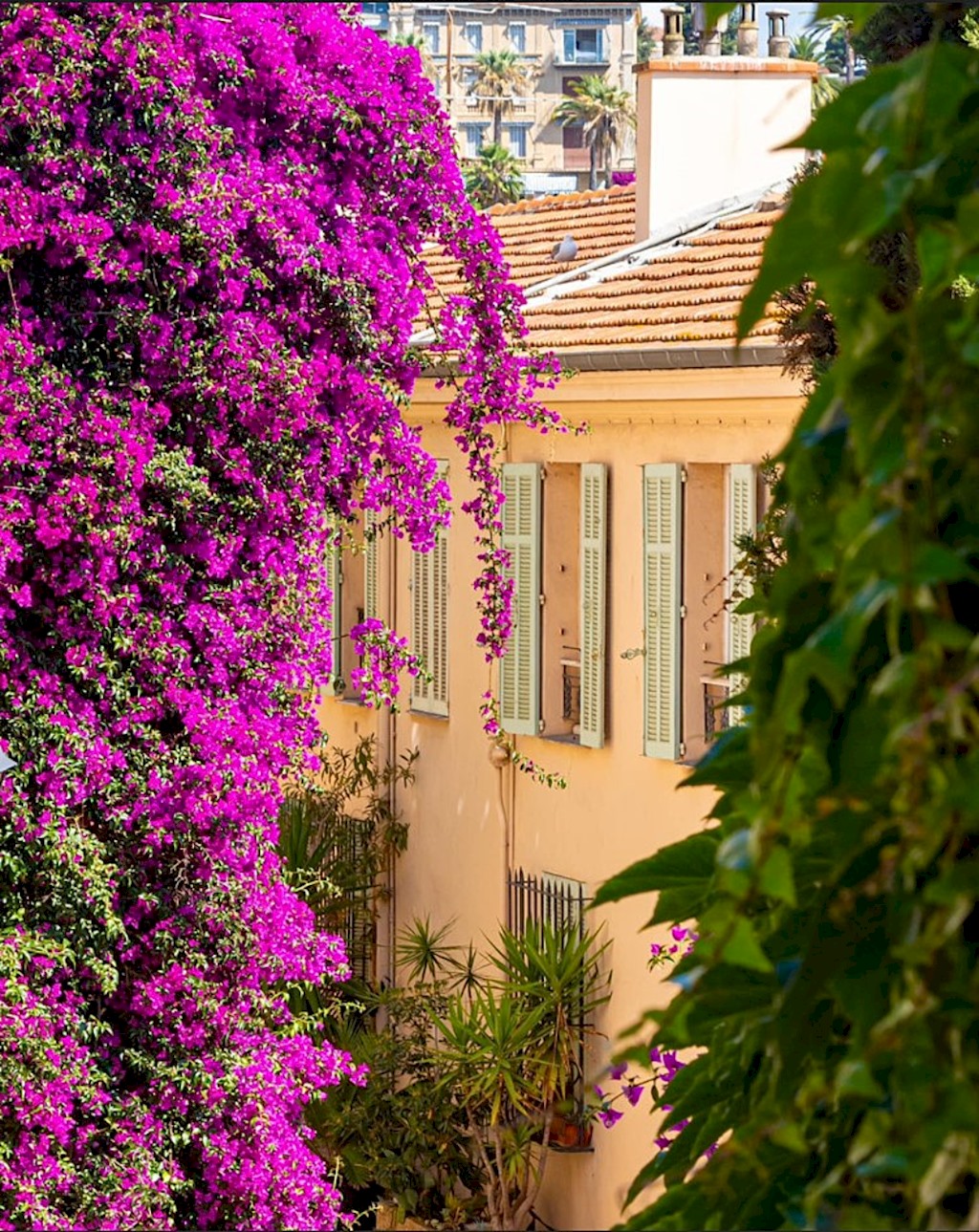 L’Emeraude duplex confortable au cœur de Cannes