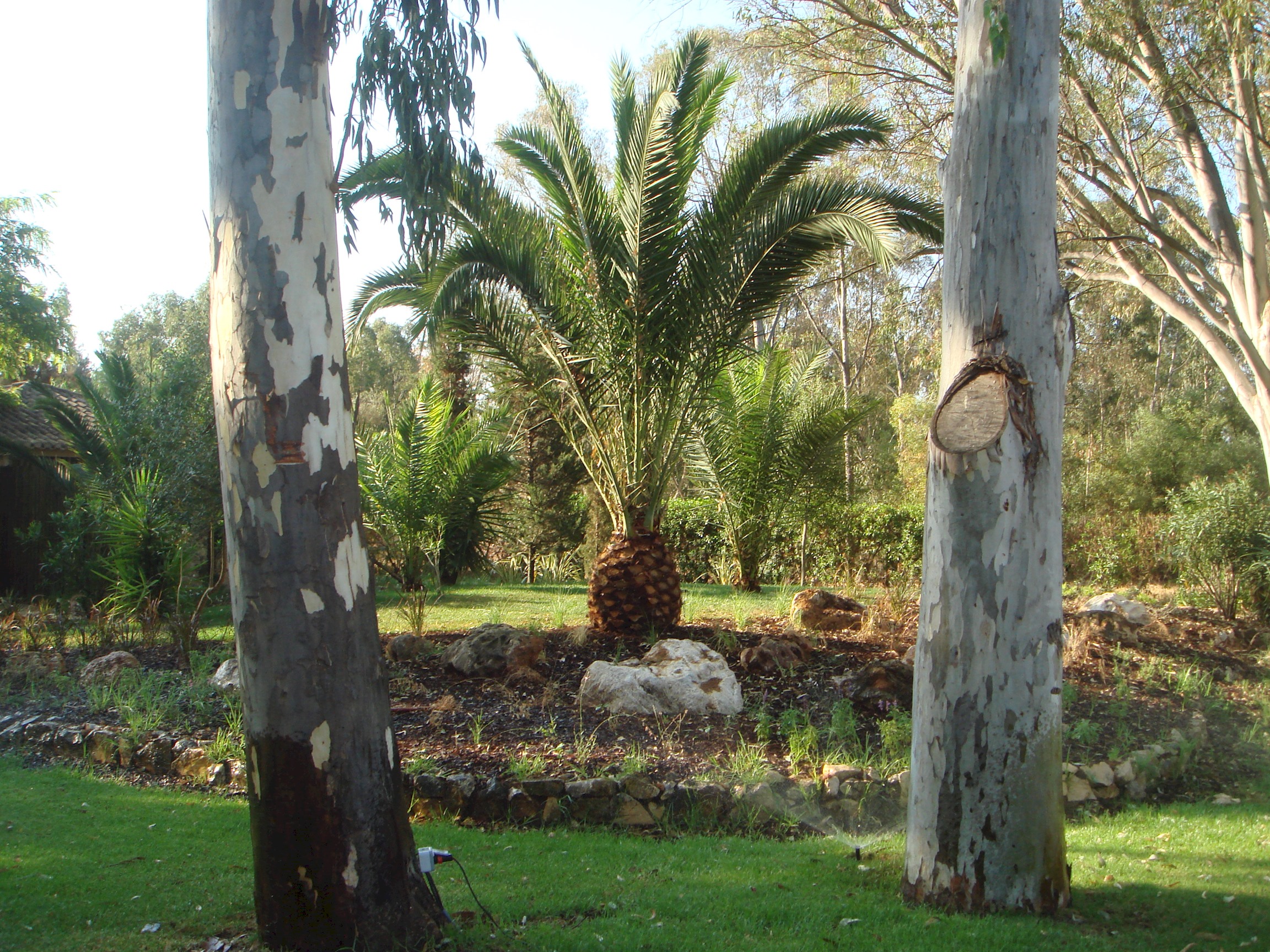 Casa do Prado: Where Guests Don’t Want to Leave