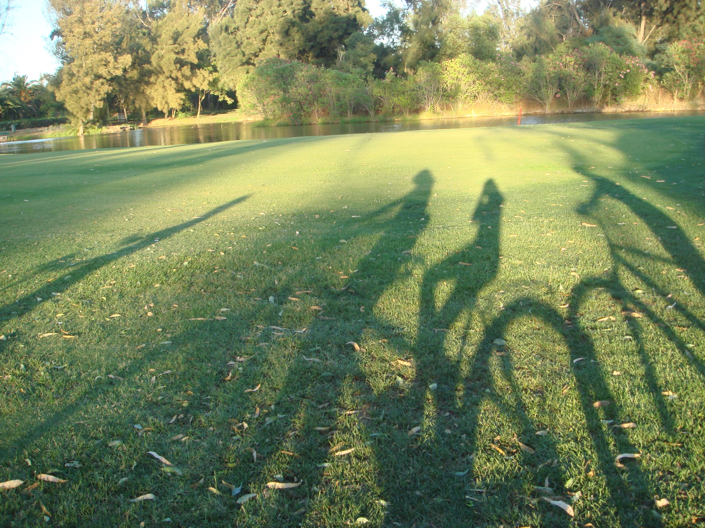 Casa da Floresta:  Eco-Design Villa,  Panoramic Views & Jacuzzi in Nature